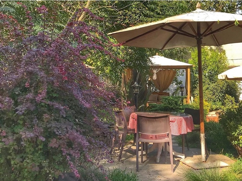 کافه ویش جایی که طعم‌ها با شور و انرژی ترکیب می‌شوند!